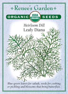 (Seed) Dill Leafy Diana Organic $4.89