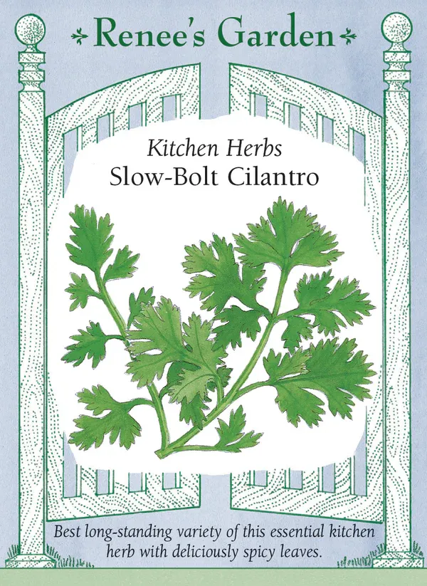 (Seed) Cilantro Slow-Bolt $2.99