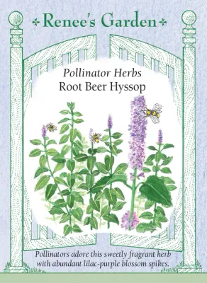 (Seed) Hyssop Rootbeer Scented $3.69