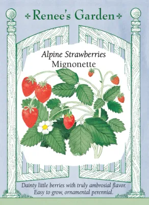 (Seed) Strawberry Alpine Mignonette $3.99