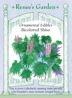 (Seed) Shiso Showy Bicolor $3.99