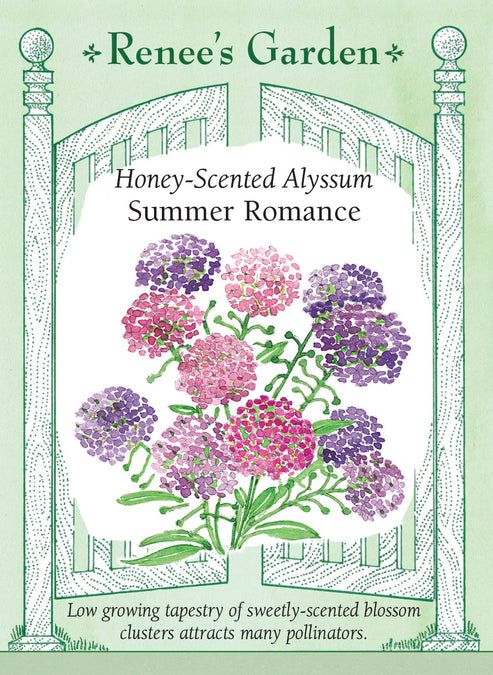 (Seed) Alyssum Summer Romance Mix $3.69