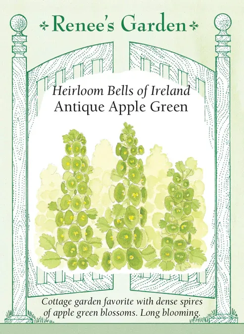 (Seed) Bells of Ireland $3.39