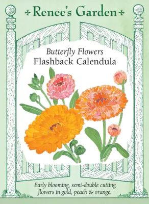 (Seed) Calendula Flashback $2.99