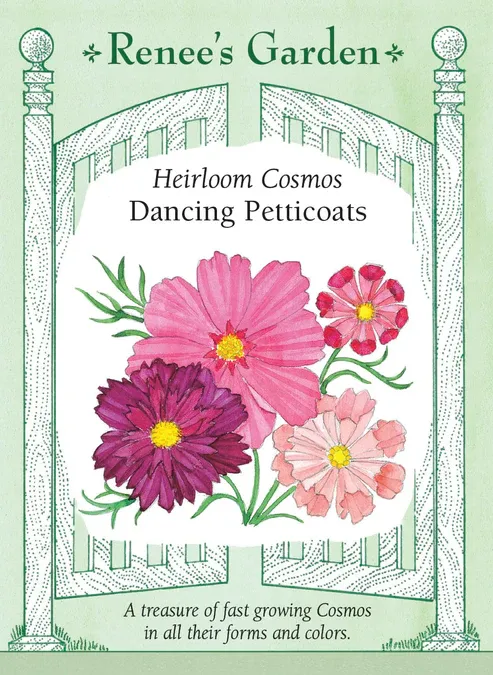 (Seed) Cosmos Dancing Petticoats $3.39