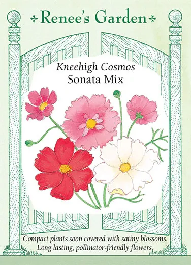 (Seed) Cosmos Sonata Knee-High Mix $3.39