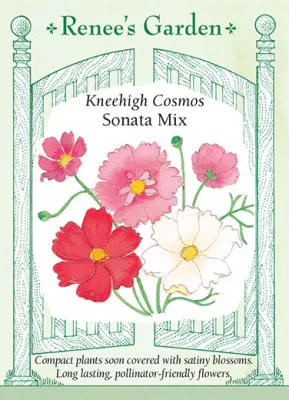 (Seed) Cosmos Sonata Knee-High Mix $3.39
