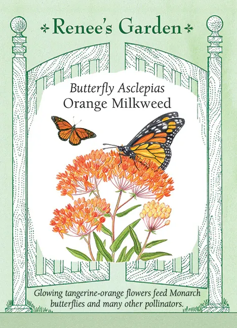 (Seed) Asclepias tuberosa $ 3.39