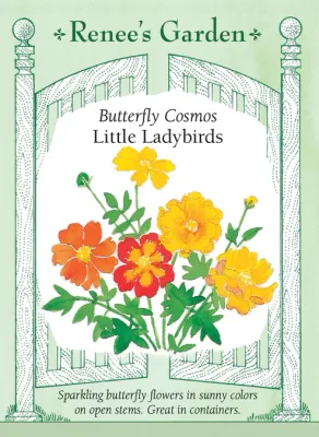 (Seed) Cosmos Little Ladybirds $2.99
