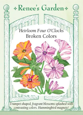 (Seed) Four O' Clock Broken Colors $3.99