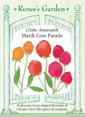 (Seed) Globe Amaranth Mardi Gras Parade $3.99