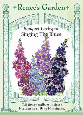 (Seed) Larkspur Singing the Blues $3.69