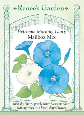 (Seed) Morning Glory Mailbox Mix $2.99 (Seed) Morning Glory Mailbox Mix $2.99