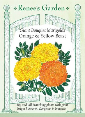 (Seed) Marigold Orange & Yellow Beast $4.69