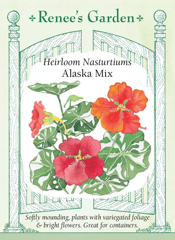(Seed) Nasturtium Alaska Mix $3.69
