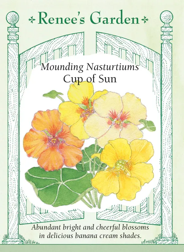 (Seed) Nasturtium Cup of Sun $3.99