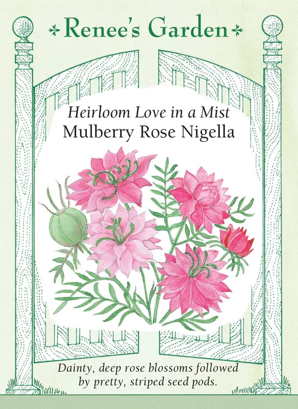 (Seed) Nigella Mulberry Rose $3.39
