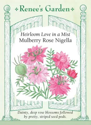 (Seed) Nigella Mulberry Rose $3.39