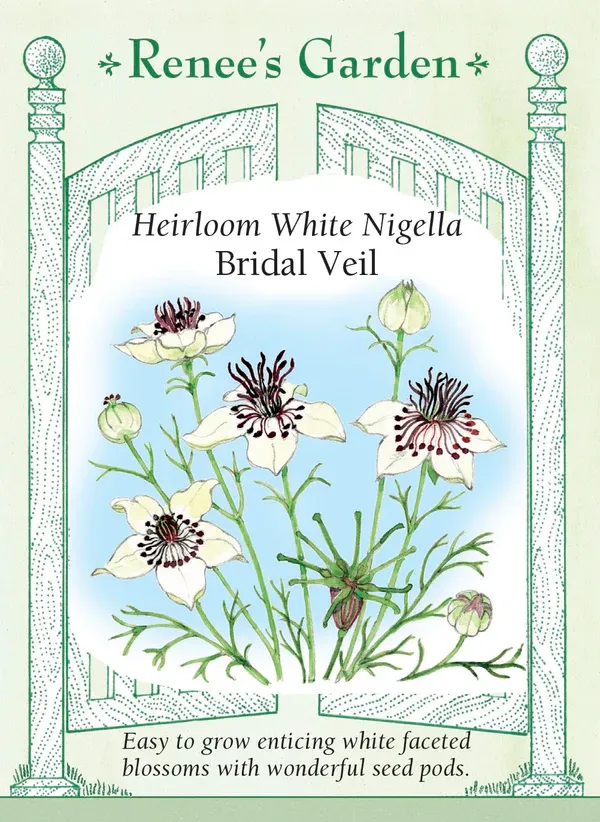 (Seed) Nigella Bridal Veil White $3.69