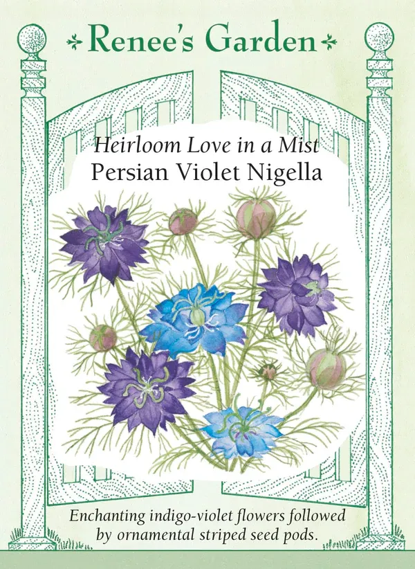 (Seed) Nigella Persian Violet $3.39