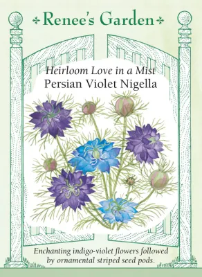(Seed) Nigella Persian Violet $3.39
