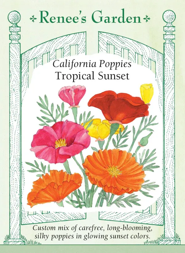 (Seed) Poppy California Tropical Sunset $3.39