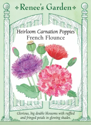 (Seed) Poppy Carnation French Flounce $3.39