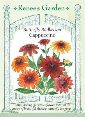 (Seed) Rudbeckia Cappuccino $4.69