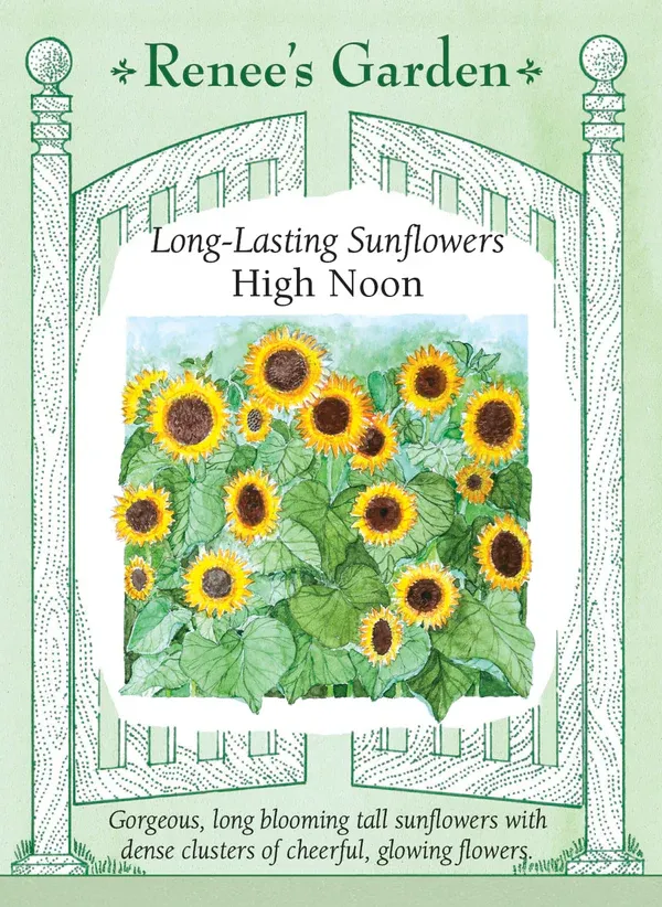 (Seed) Sunflower High Noon $4.69