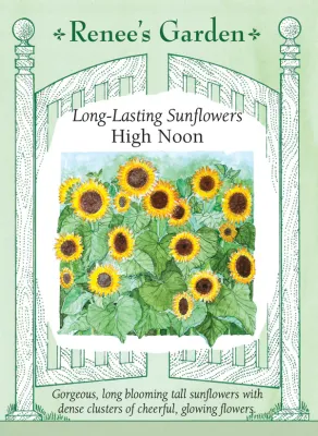 (Seed) Sunflower High Noon $4.69
