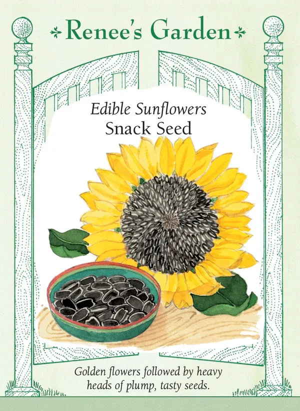 (Seed) Sunflower Snack Seed $4.69