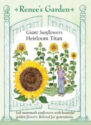 (Seed) Sunflower Titan Giant $3.39