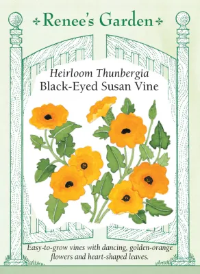 (Seed) Thunbergia (Black-Eyed Susan Vine) $3.99