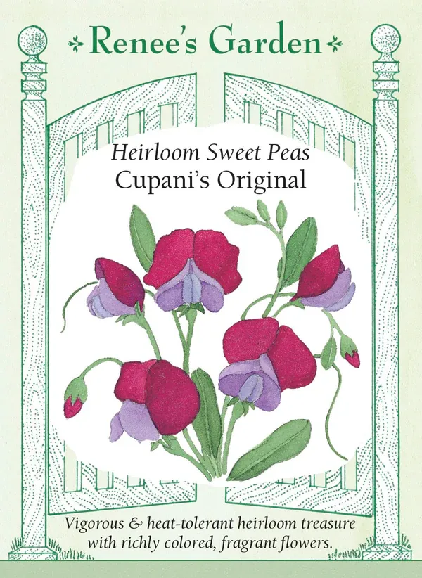 (Seed) Sweet Pea Cupani's Original $3.99