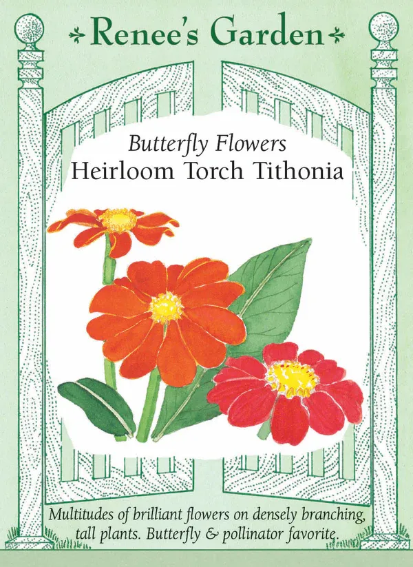 (Seed) Tithonia Torch (Mexican Sunflower) $2.99