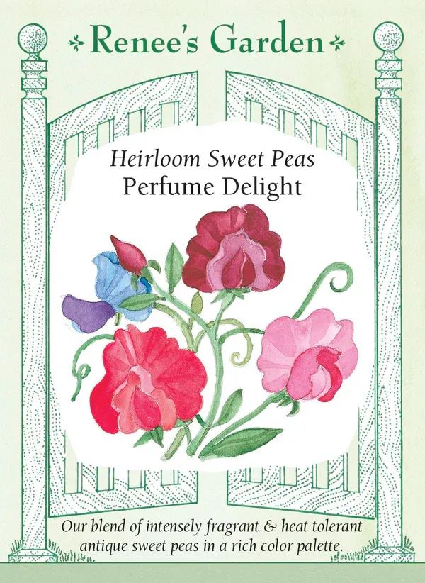 (Seed) Sweet Pea Perfume Delight $2.99