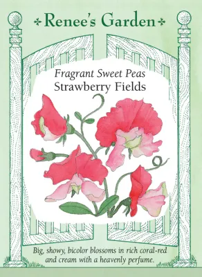 (Seed) Sweet Pea Strawberry Fields $3.99