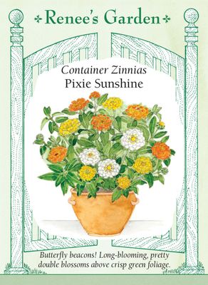 (Seed) Zinnia Pixie Sunshine Container $3.39