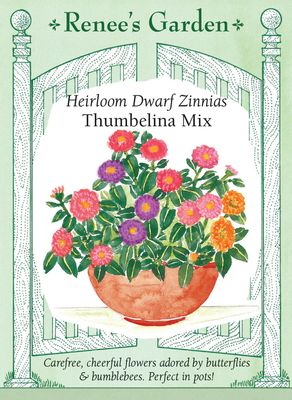 (Seed) Zinnia Thumbelina Dwarf Mix $3.39