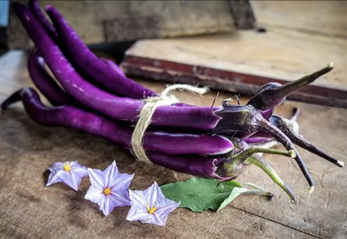 Chinese String Eggplant