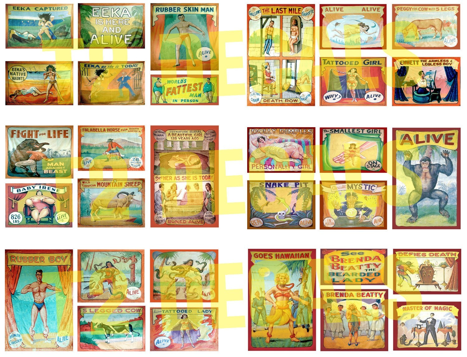 MRCHQ Custom Circus Sideshow Decal Mega-Sheet #3
