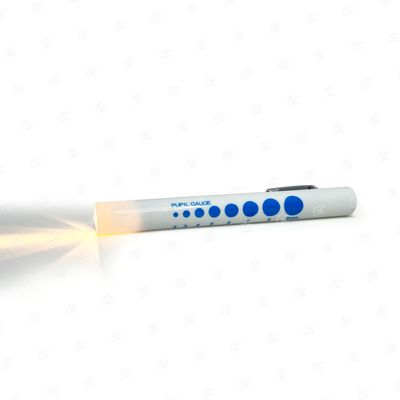 Torch - Including Batteries