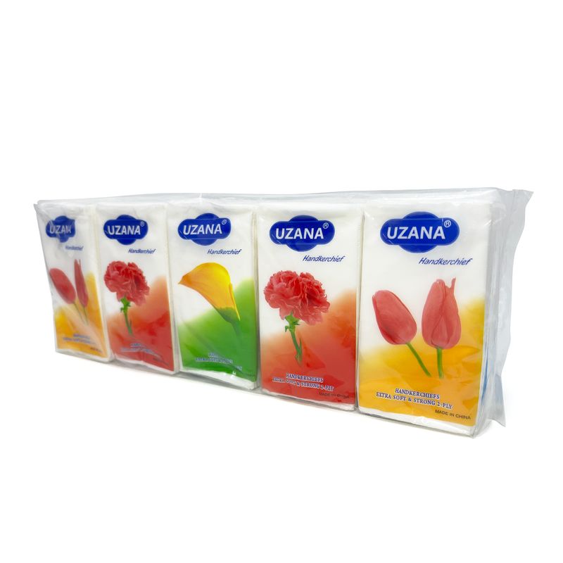 Pocket Tissues