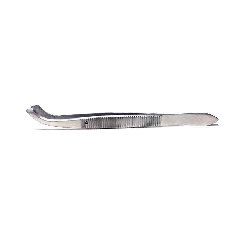 Dissecting Forceps Curved 13cm
