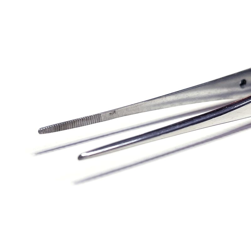 Dissecting Forceps Straight (15cm / 20cm)