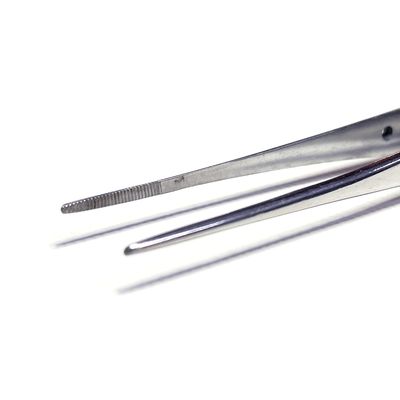 Dissecting Forceps Straight (15cm / 20cm)