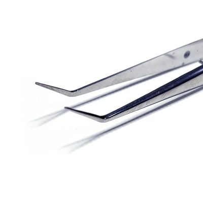 Dental College Forceps Curved 15cm