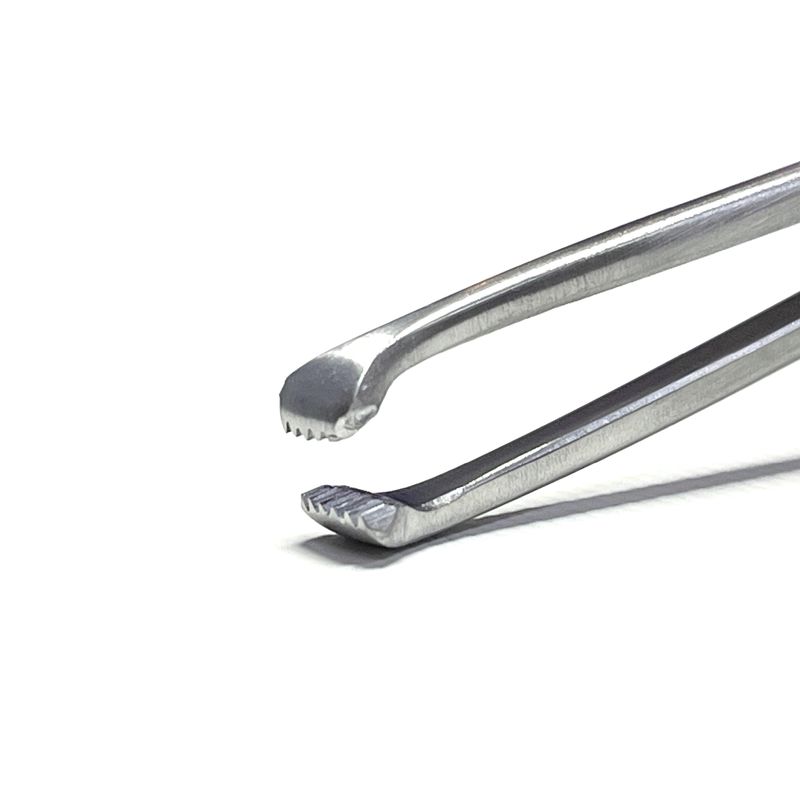 Allis Toothed Tissue Forceps – 20cm