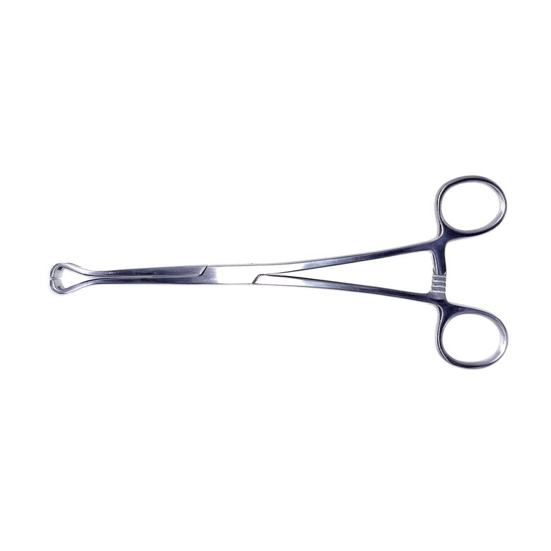 Babcock Tissue Forceps – 20cm