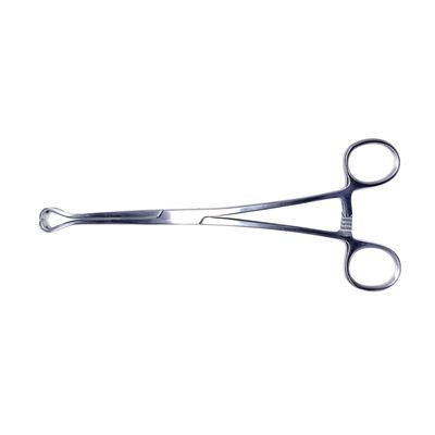 Babcock Tissue Forceps – 20cm